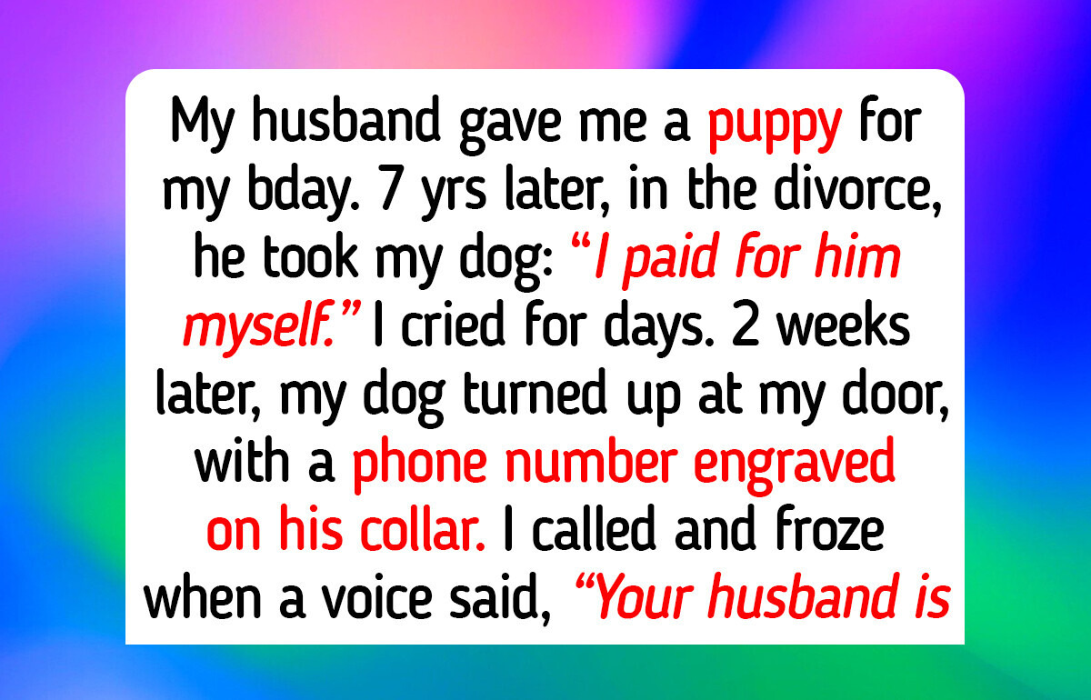 12 Real Animal Shelter Moments Where Cats and Dogs Teach People to Still Choose Compassion and Kindness