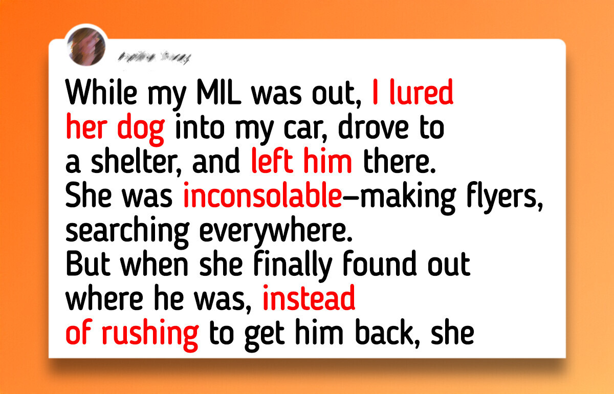 I Secretly Abandoned My MIL’s Dog at a Shelter—My Baby’s Health Comes First