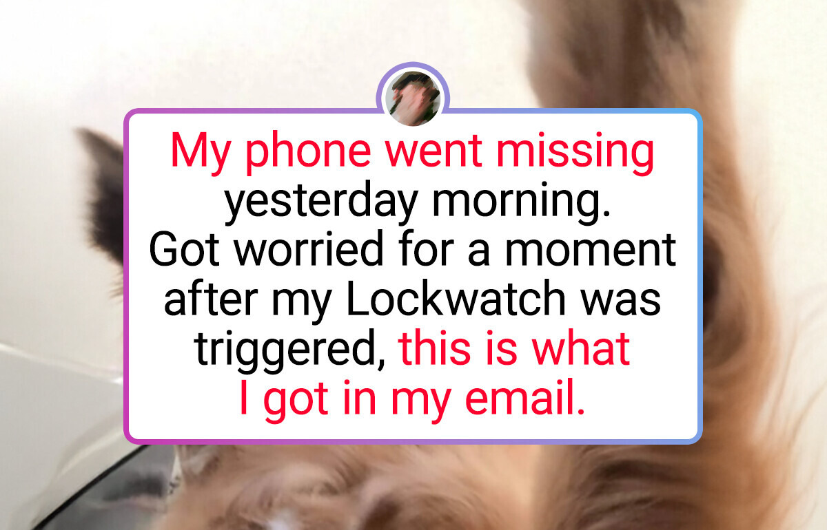 19 Photos That Prove Pets Are Just Fuzzy Comedians in Disguise