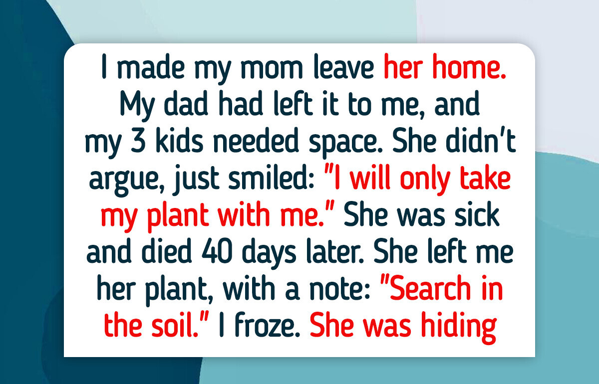 15 Stories That Prove Quiet Kindness Is the Strength the World Still Needs