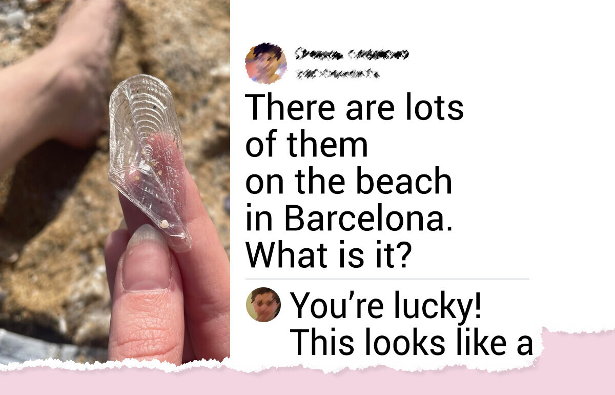 15 Beach Finds So Bizarre They Stumped the Internet — and the Answers Are Even More Fascinating
