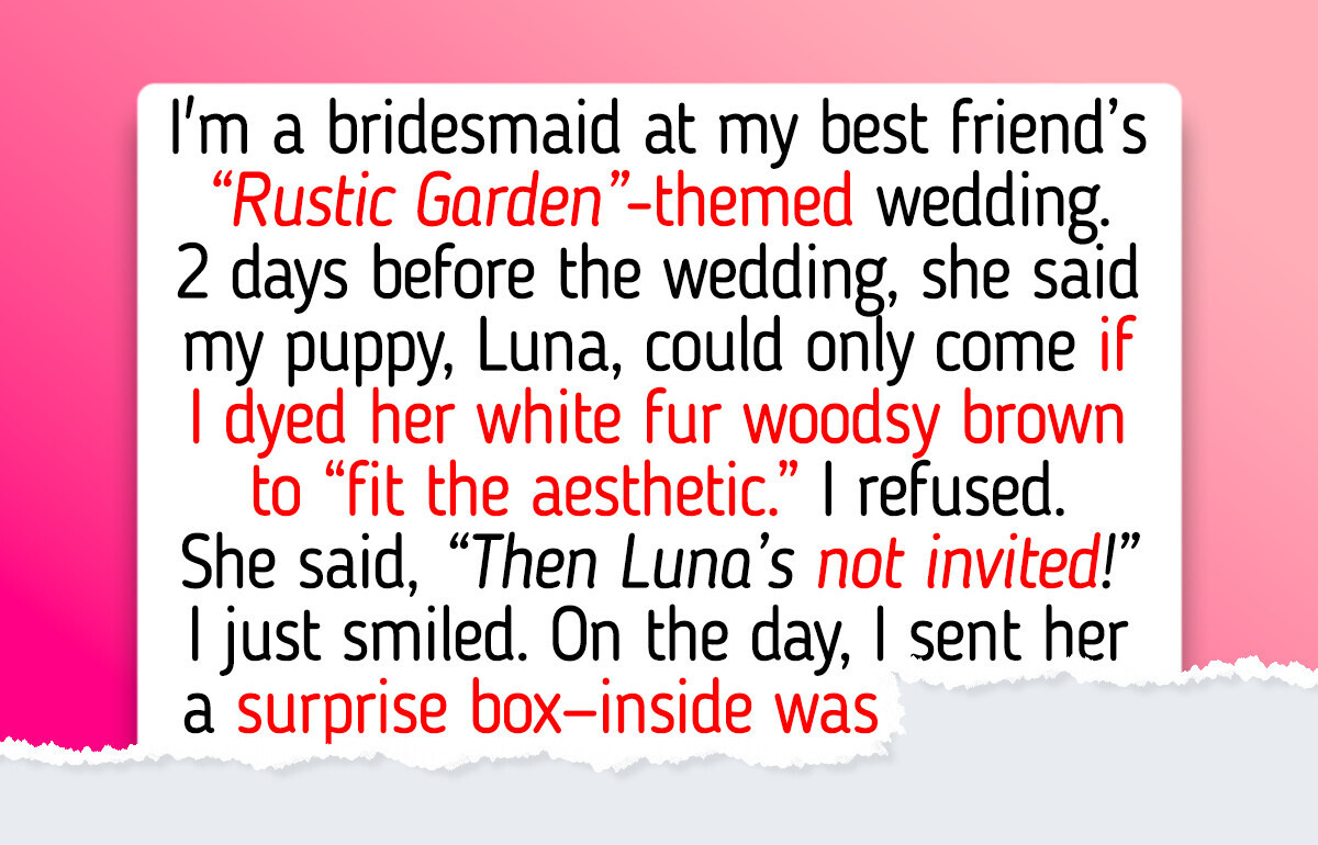 My Best Friend Kicked My Plus-One Off Her Wedding—So I Made Her Regret It My Best Friend Kicked My Plus-One Off Her Wedding—So I Made Her Regret It