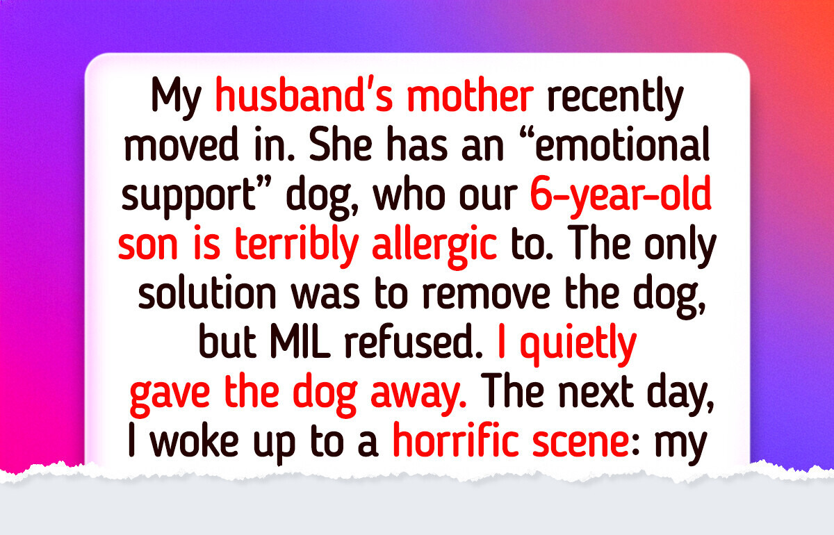 I Got Rid of My MIL’s Puppy, My Son’s Safety Was at Stake