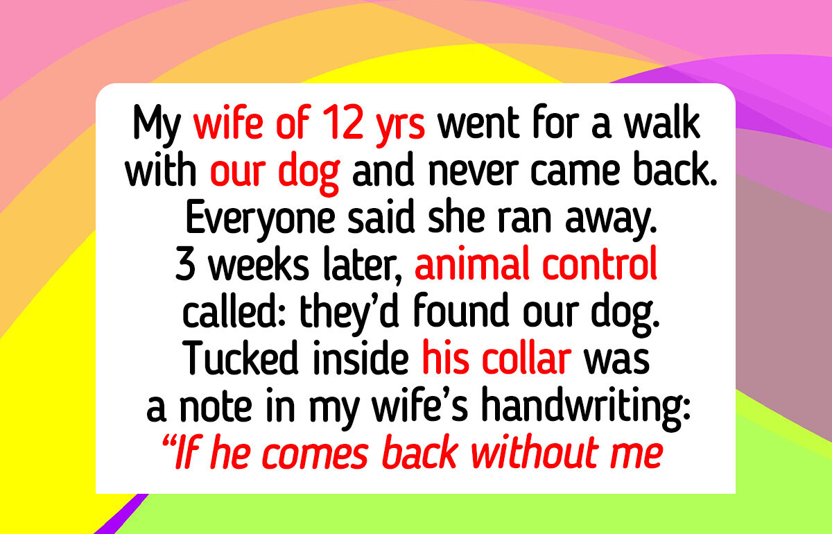 12 Acts of Kindness That Prove Animal Shelters Still Hold the Quiet Compassion Our World Needs in 2026