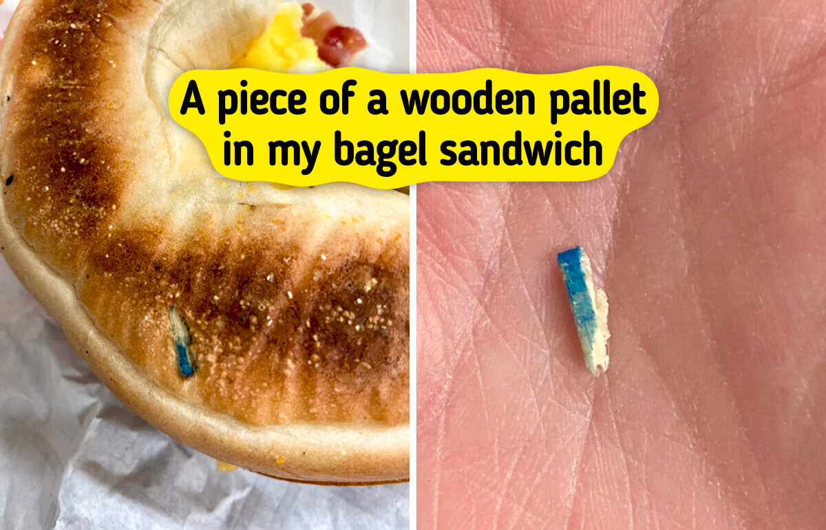 15 Hilarious Times People Ignored ‘We Have Food at Home’ and Totally Regretted It