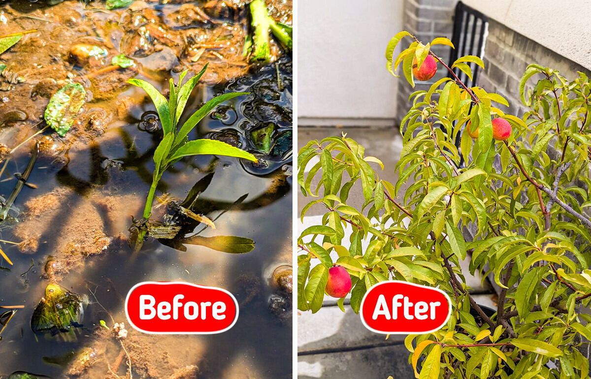 Why the People With the Best Life Skills in 2026 Still Learn Them From Gardening and Landscaping
