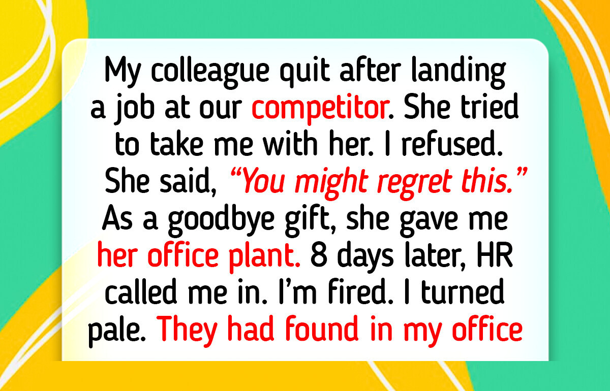 10 Success Moments Where Kindness Became the Light of Happiness in Someone’s World