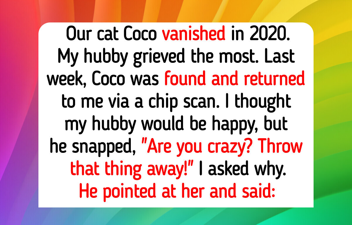 21 Animals Who Helped Their Humans at Home, at Work, on Walks, and When Things Went Wrong