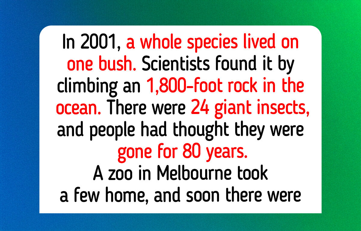 12 Endangered Animals That Came Back, Like a Parrot With 90 Chicks in One Season