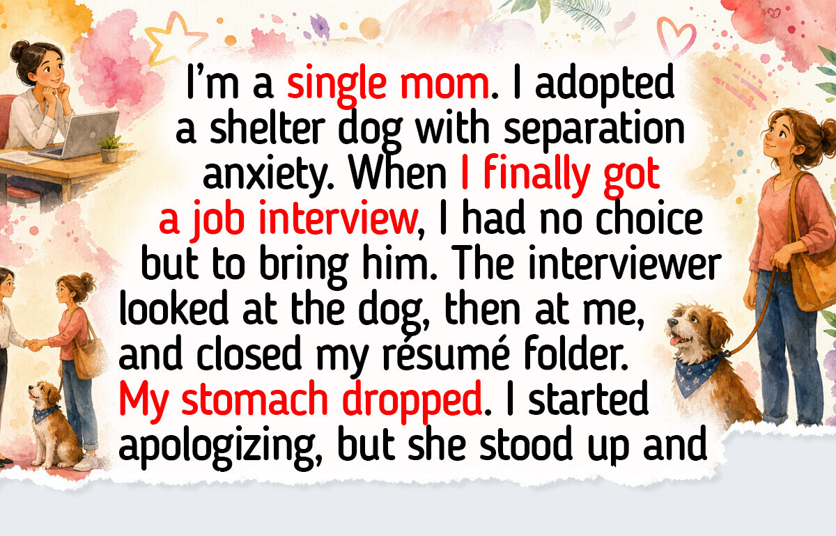 16 Pets Who Ride Along Everywhere, Including a Beagle at a Job Interview, a Cat at the Bank, and a Dachshund at the Hospital