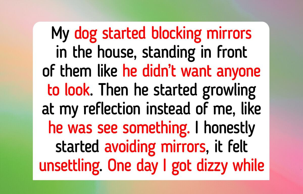 Top 11 Pets Who Proved Kindness Successfully Can Save a Broken Soul