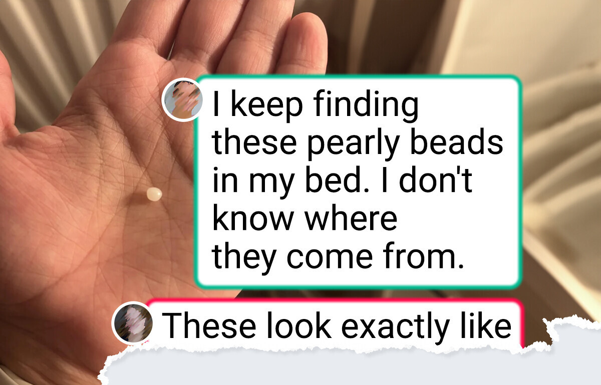 15 Photos That Captured Something Extraordinary