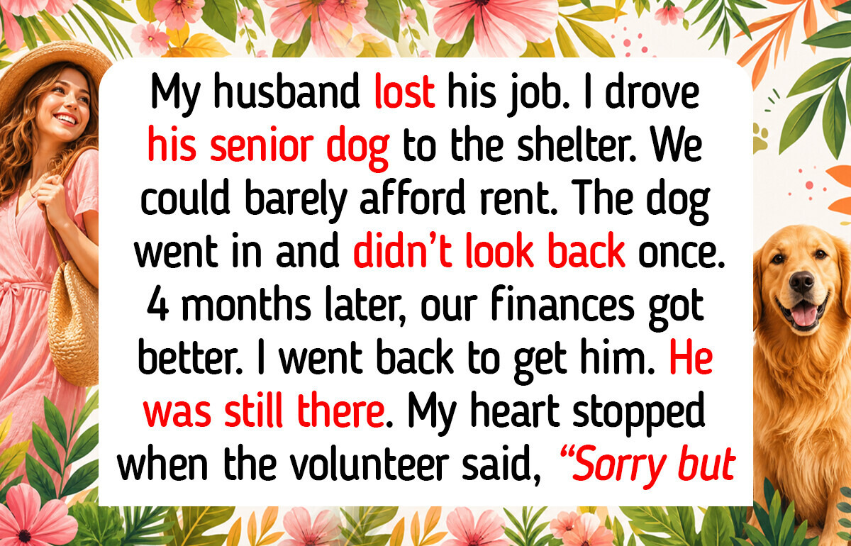 10 Real Animal Shelter Moments Where Dogs Reminded People That Compassion and Kindness Can Change Everything 10 Real Animal Shelter Moments Where Dogs Reminded People That Compassion and Kindness Can Change Everything