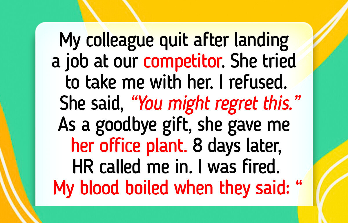 10 Success Moments Where Kindness Became the Light of Happiness in Someone’s World