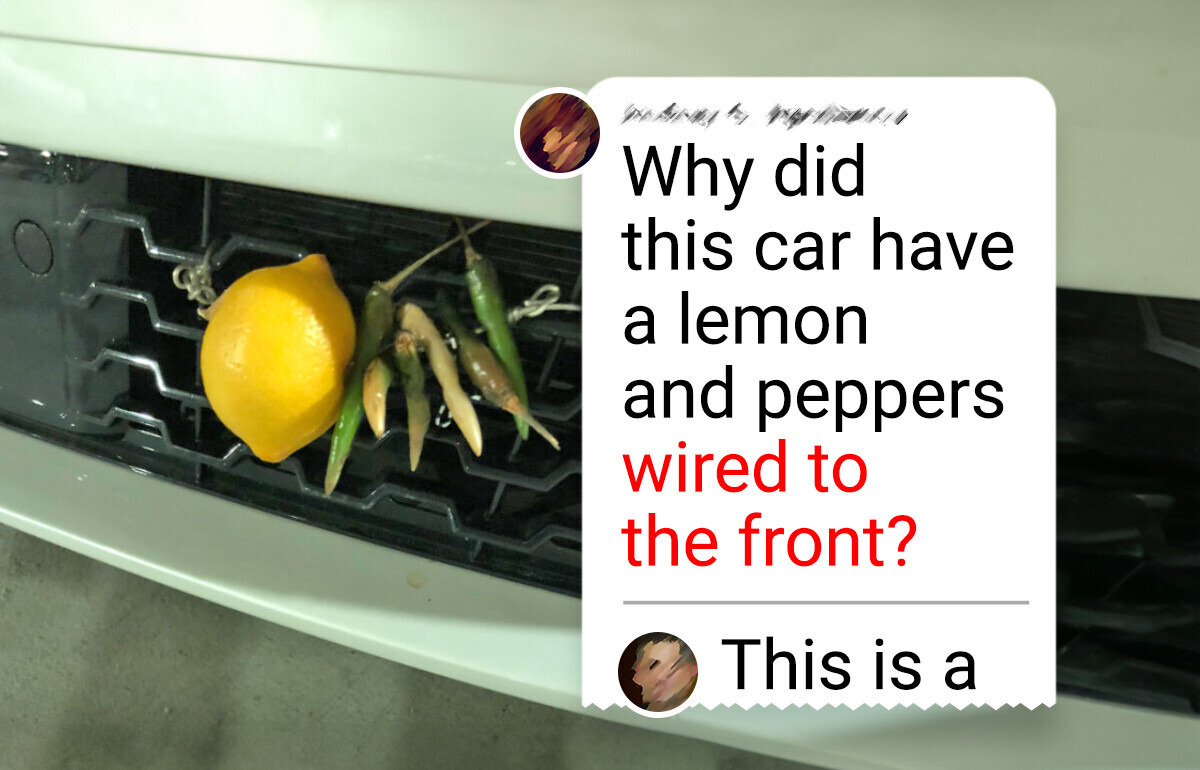 13 Bizarre Objects People Found on Their Cars