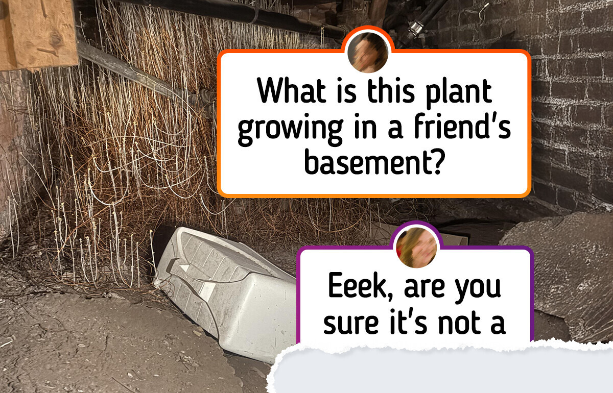 12 Everyday Moments So Strange, They Deserve a Spot in a Mystery Series 12 Everyday Moments So Strange, They Deserve a Spot in a Mystery Series