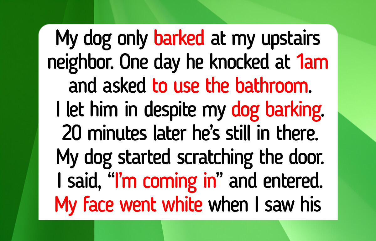 10 Rescue Dog and Cat Moments That Teach Us Shelter Animals Are Still the Most Compassionate and Kind Heroes in 2026
