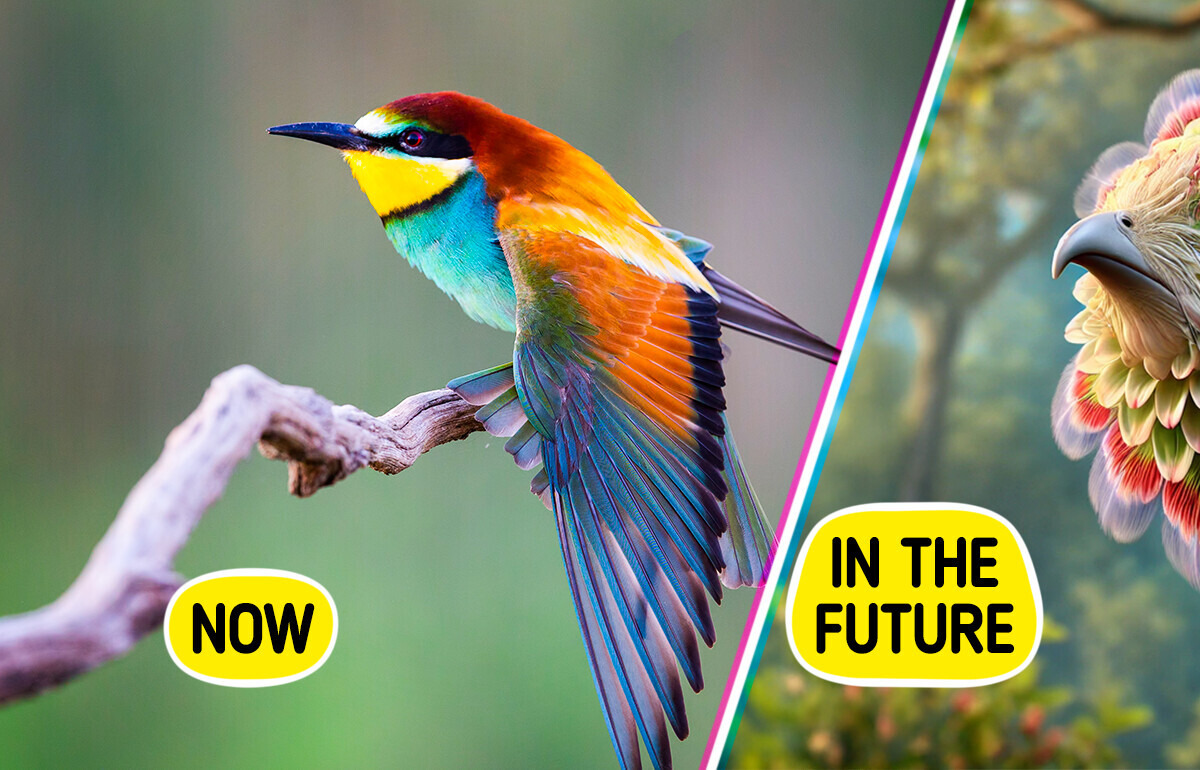 How Evolution Could Change 7 Animals—And Create Strange Creatures How Evolution Could Change 7 Animals—And Create Strange Creatures