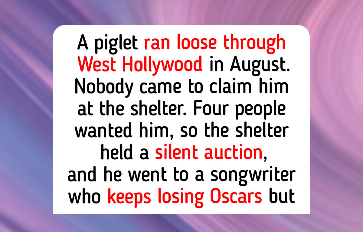 12 Stars Who Adopted Rescue Animals, and the Oscar-Nominated Songwriter Who Won a Runaway Pig