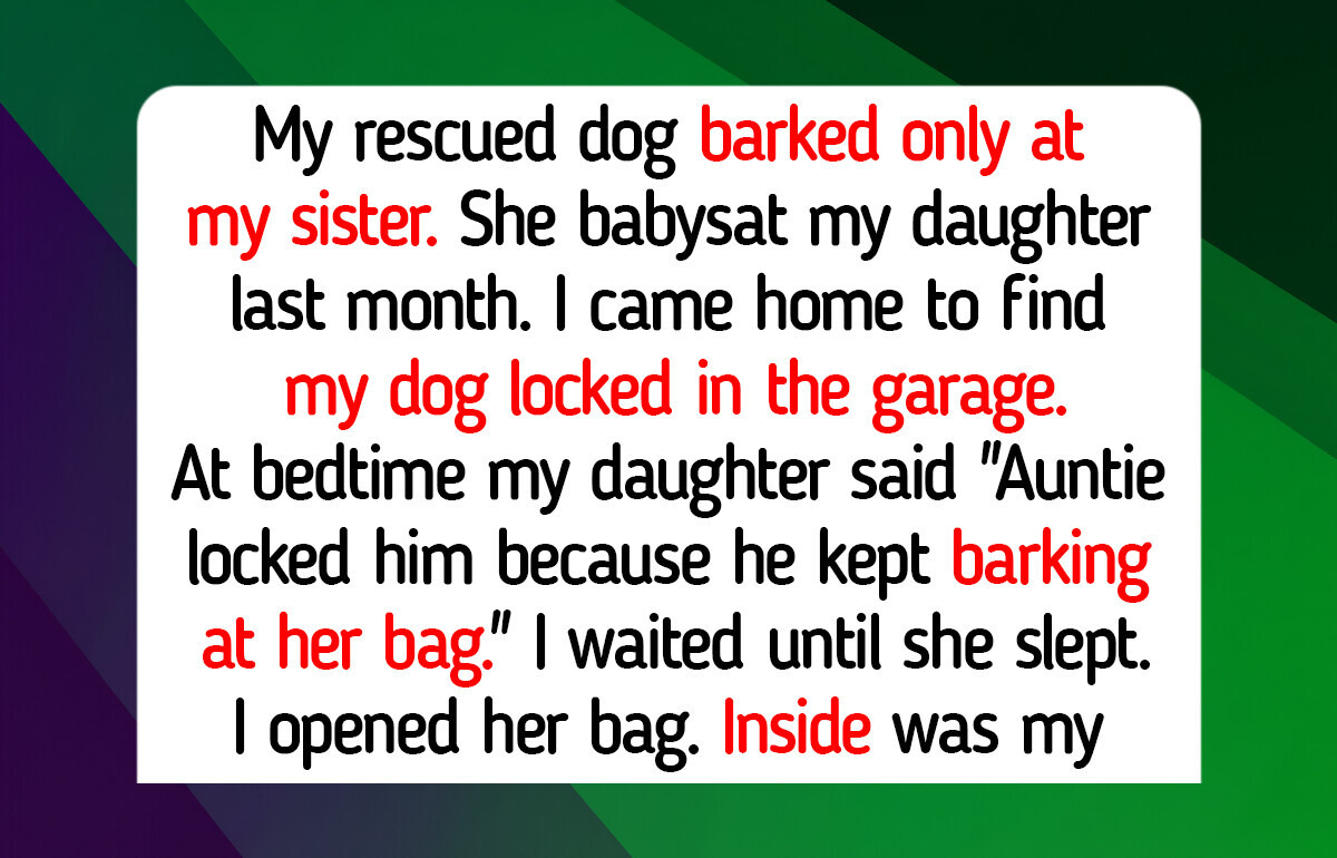 10 Animal Shelter Moments Teaching Us Compassion and Kindness Still Find Every Rescue Pet a Happy Family