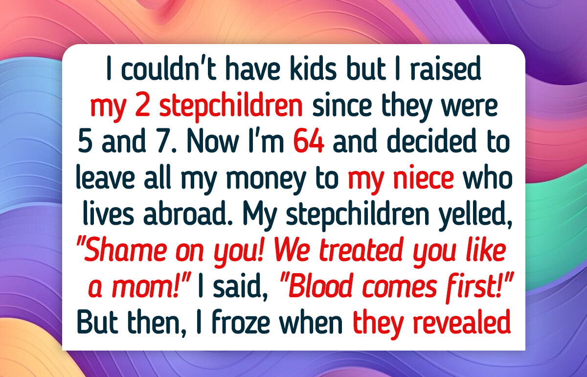 I’m Childfree, I Left My Inheritance to My Niece, My Stepchildren Are Furious I’m Childfree, I Left My Inheritance to My Niece, My Stepchildren Are Furious