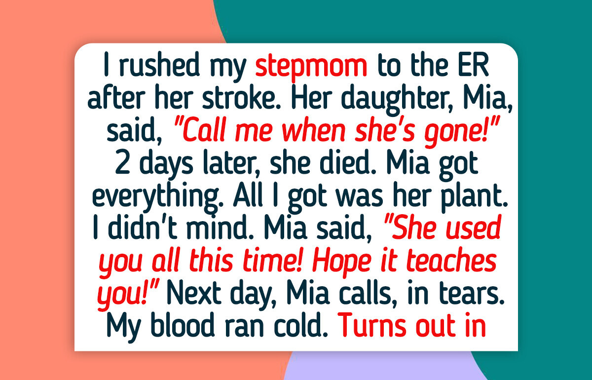 12 Stories That Show Kind People Aren’t Weak—They’re Survivors