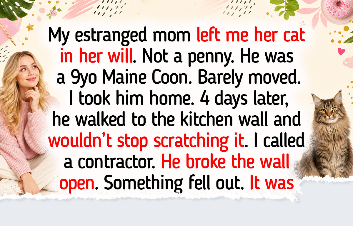 10 Maine Coon Cats Who Made Their Humans’ Lives Better in Unexpected Ways 10 Maine Coon Cats Who Made Their Humans’ Lives Better in Unexpected Ways