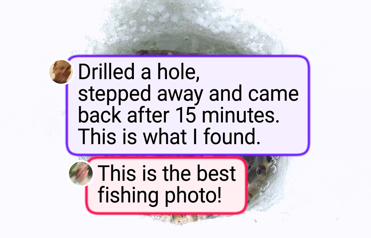 24 Stunning Photos That Prove Nature’s Magic Beats Any Human Design