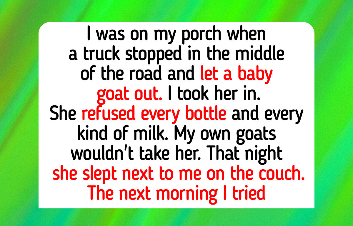 14 Farm Animals Who Moved Into the House, and the Baby Goat a Truck Left in the Road Who Fell Asleep on the Couch