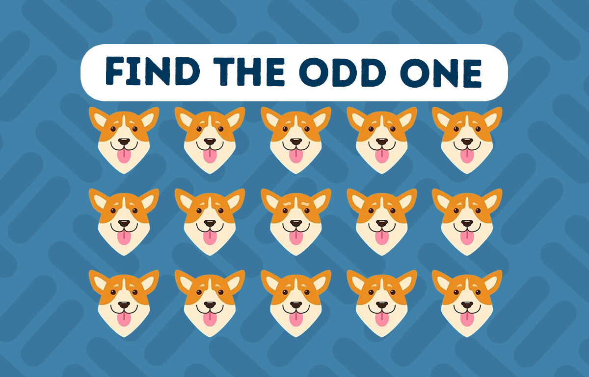 Find the Odd One Out in 20 Seconds — a Speed-Thinking Test Find the Odd One Out in 20 Seconds — a Speed-Thinking Test