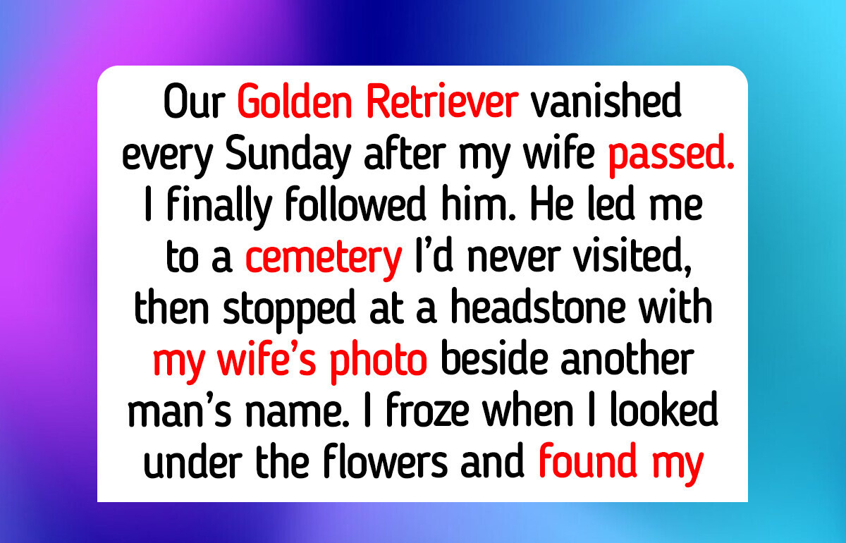 12 Animal Shelter Moments That Prove Cats and Dogs Still Bring Real Compassion to Heavy Hearts