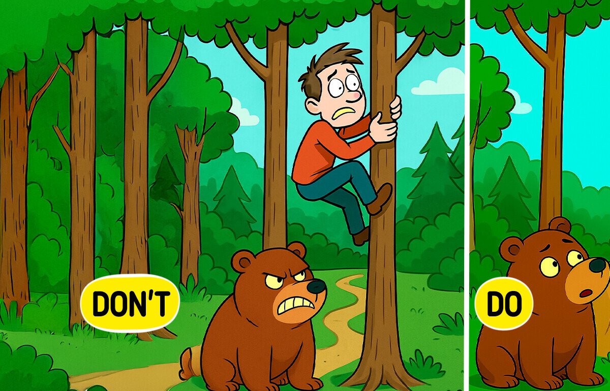 12 Actions That May Help Save Your Life During Bear Encounters