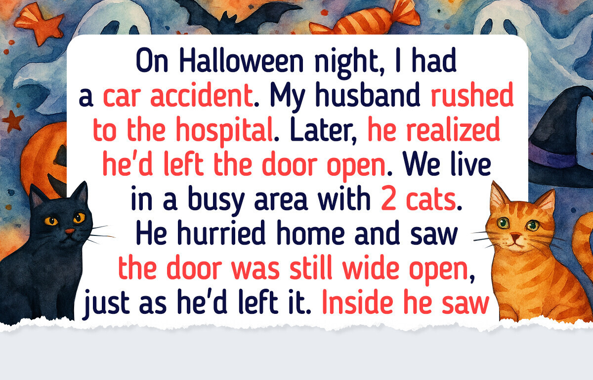 15 Remarkable Stories Where Kindness Changed Everything 15 Remarkable Stories Where Kindness Changed Everything