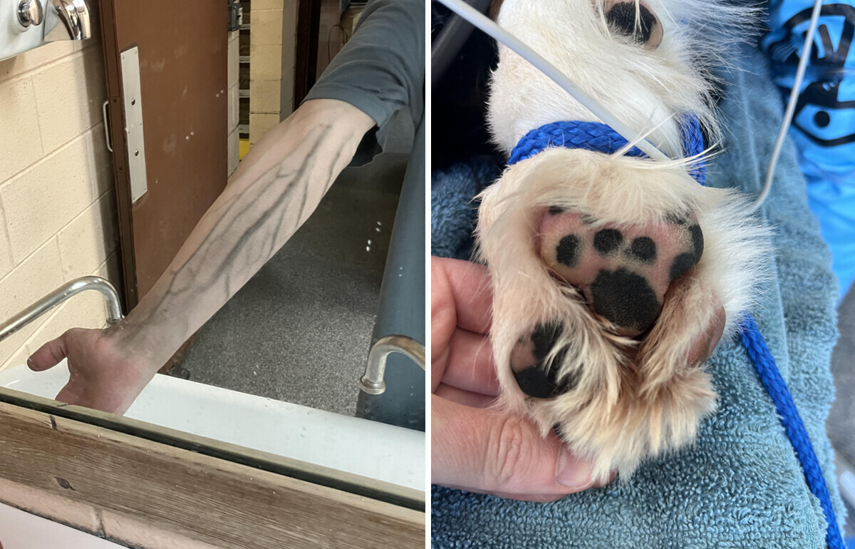 15+ Photos That Show How Strange Reality Can Be