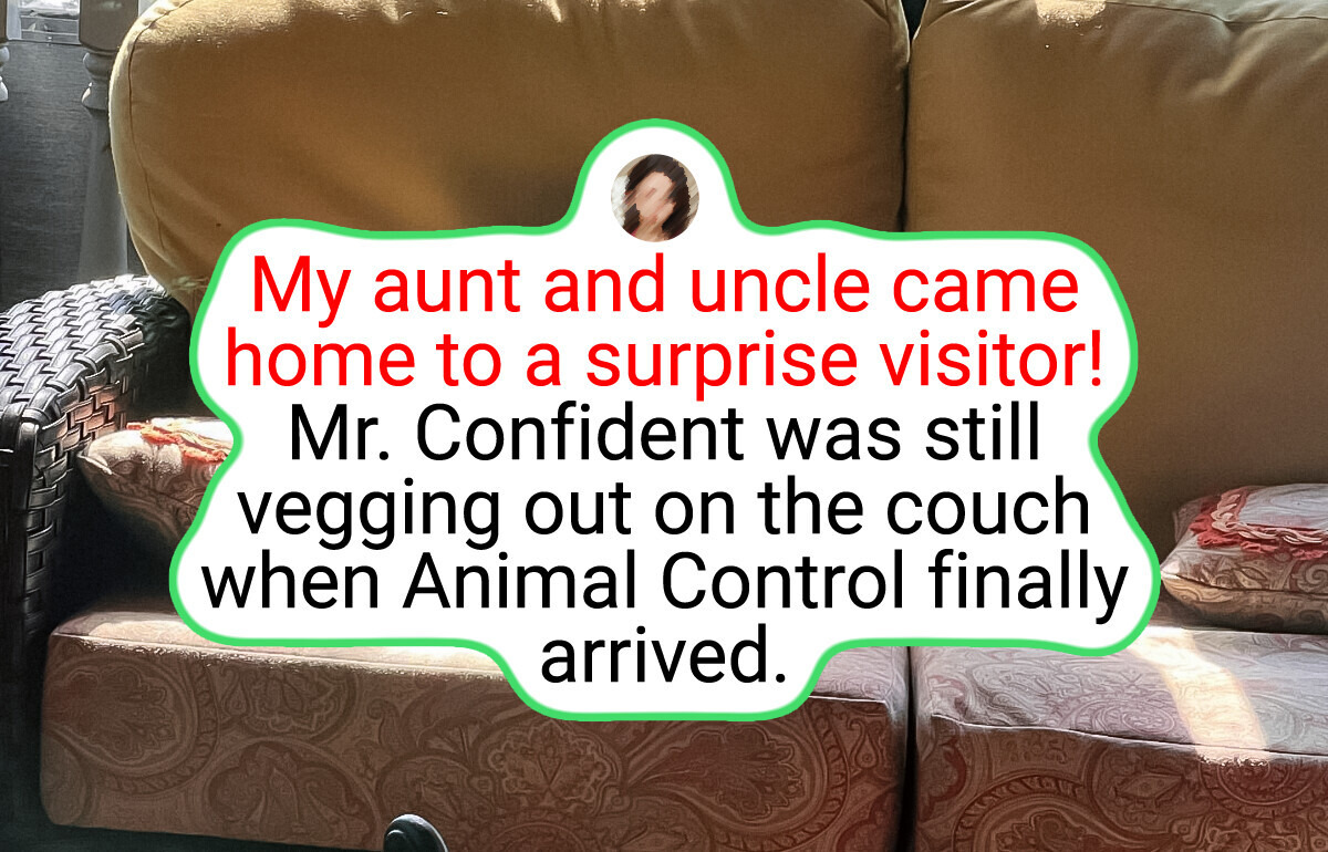 20+ People Who Had a Hilarious Encounter With Wild Nature