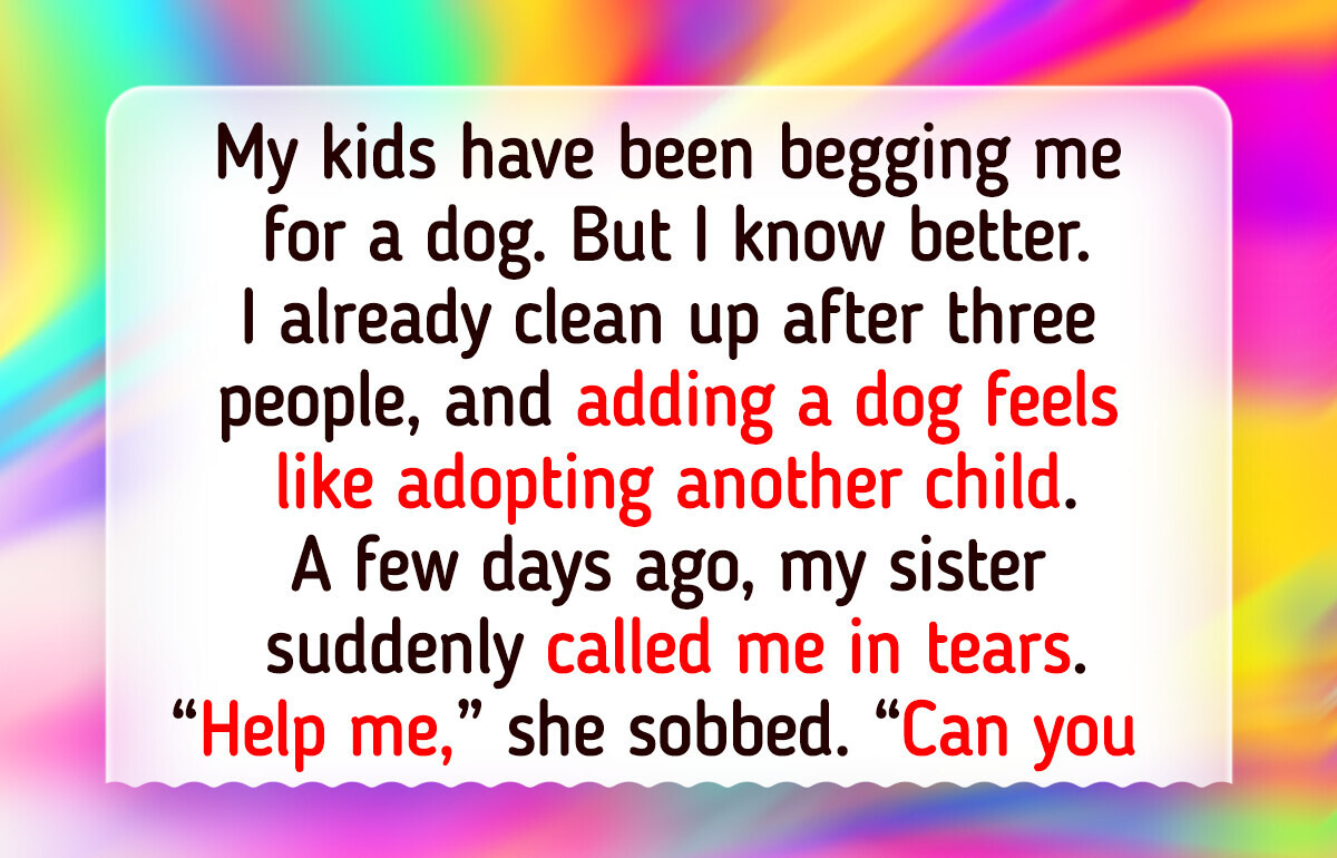 I Refused to Buy My Children a Dog, and My Family Has Turned on Me