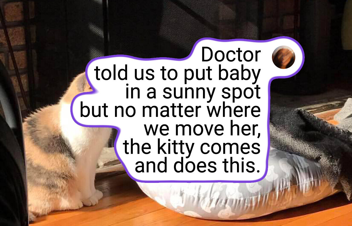 20+ Heartwarming Photos That Prove Happiness Is Something You Build, Not Just Find 20+ Heartwarming Photos That Prove Happiness Is Something You Build, Not Just Find