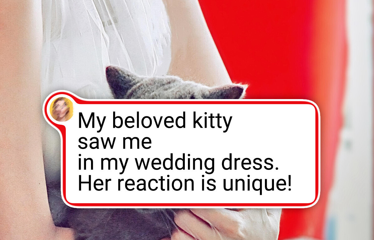 20 Fluffy Cuties Who Know How to Cheer Us Up