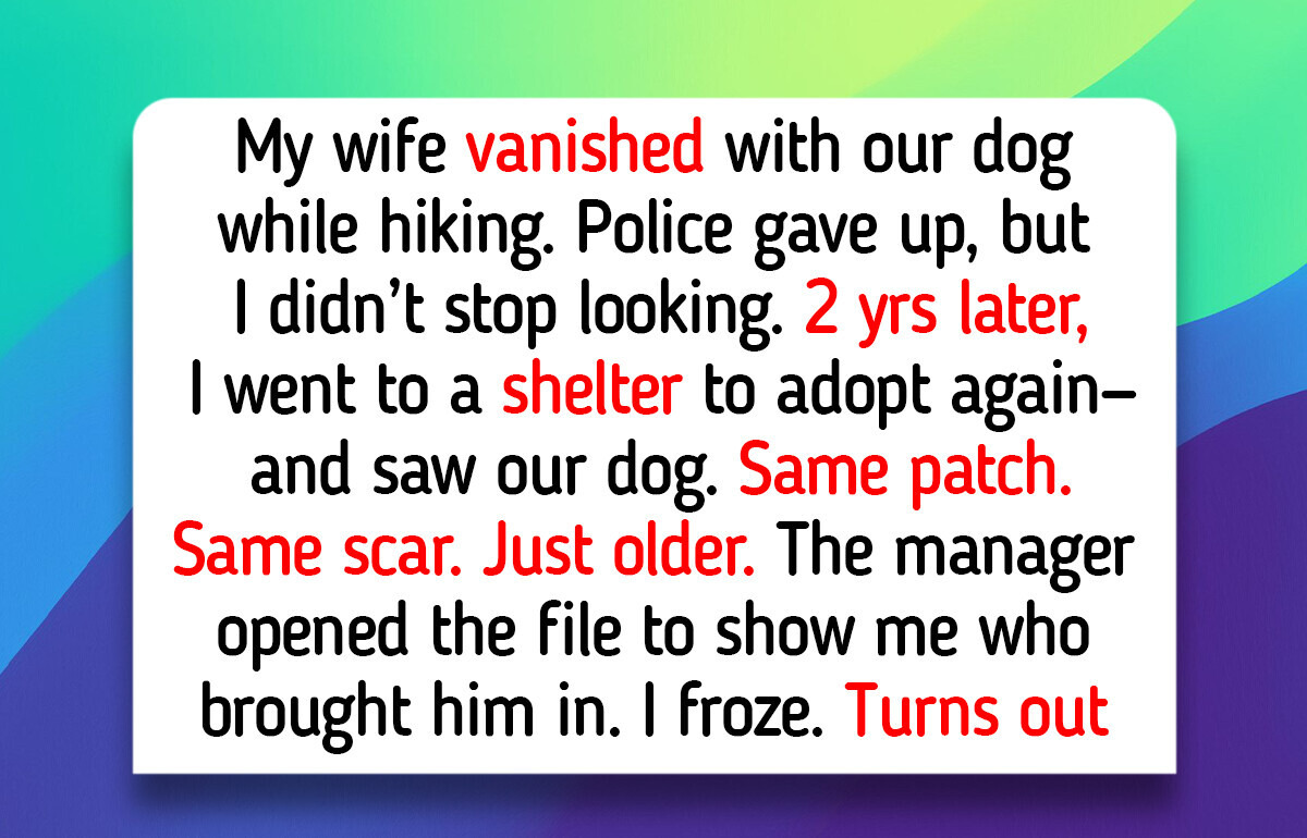 12 Cats and Dogs Who Brought Happiness: a Border Collie’s Animal Shelter Reunion, a Stray’s Dollar General Unicorn, and a Golden Retriever Who Eased a Child’s Solitude