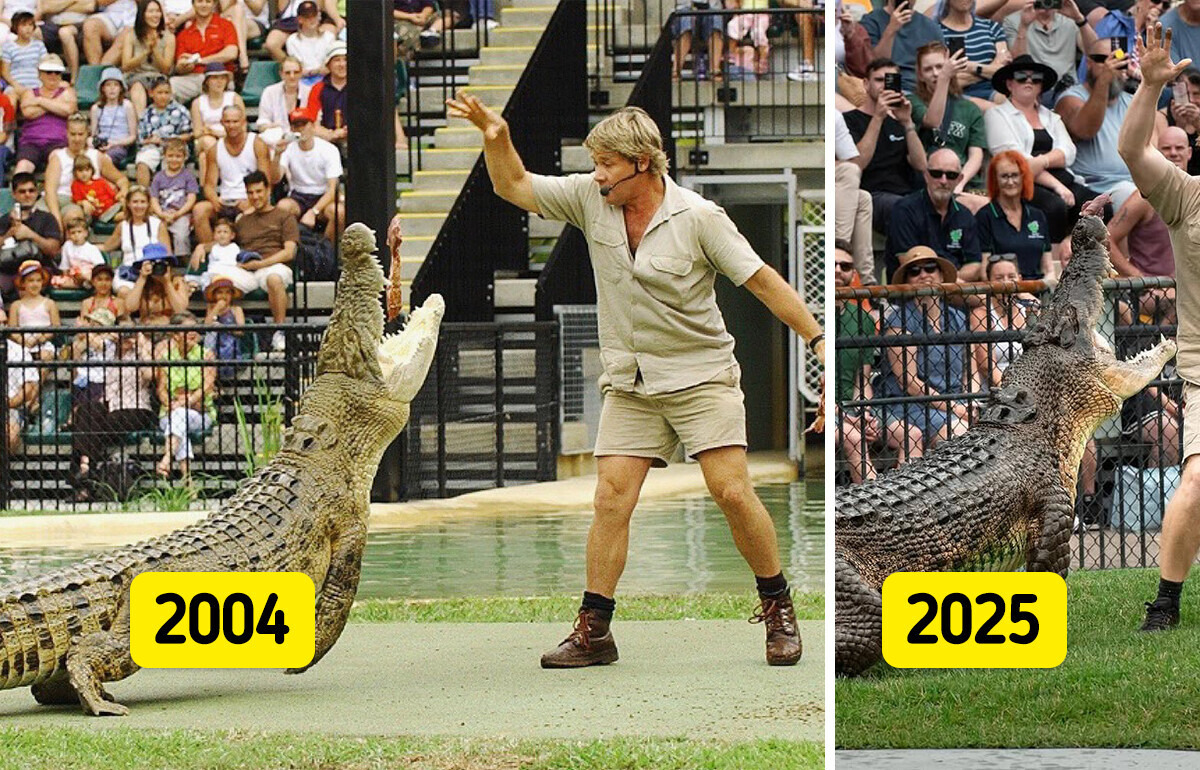 “Just Like Your Daddy,” Robert Irwin Feeds the Same Crocs as His Father 20 Years Apart