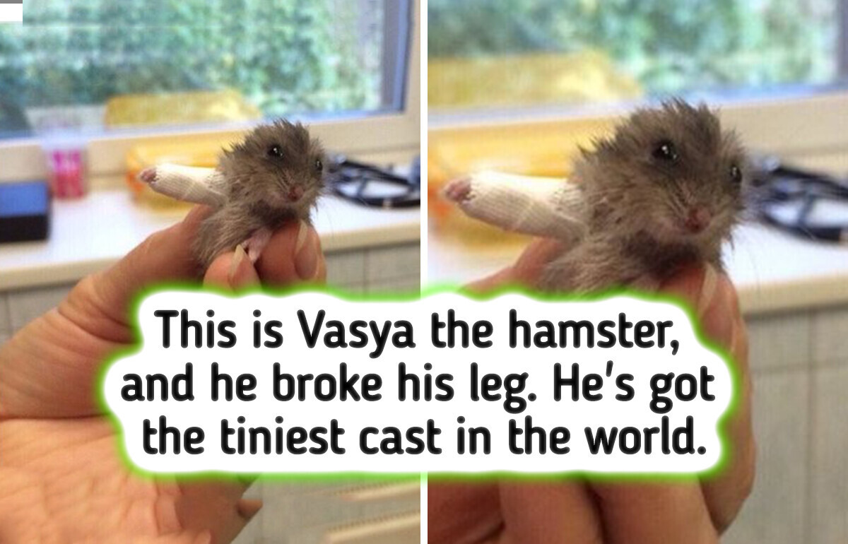 20 Unusual Jobs Where Every Day Is Like an Adventure