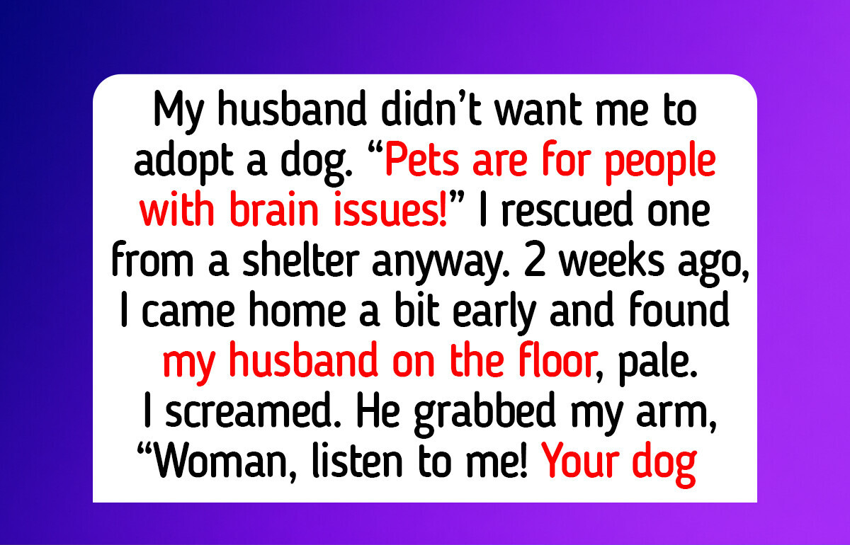11 Animal Rescue Experiences About How Kindness, Humane Societies and Pet Adoption Can Help Cats and Dogs Find Happy Parents
