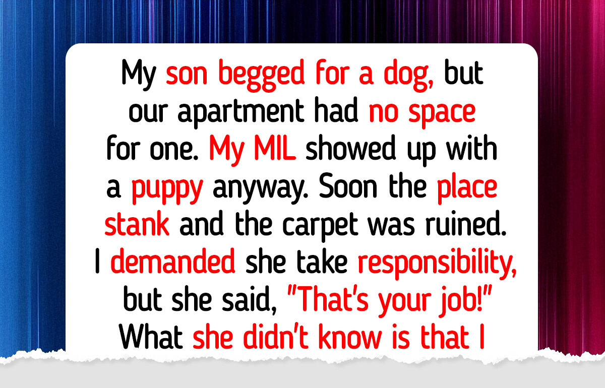 My MIL Ignored Our Rule and Bought My Son a Puppy, She Wasn’t Ready for My Surprise