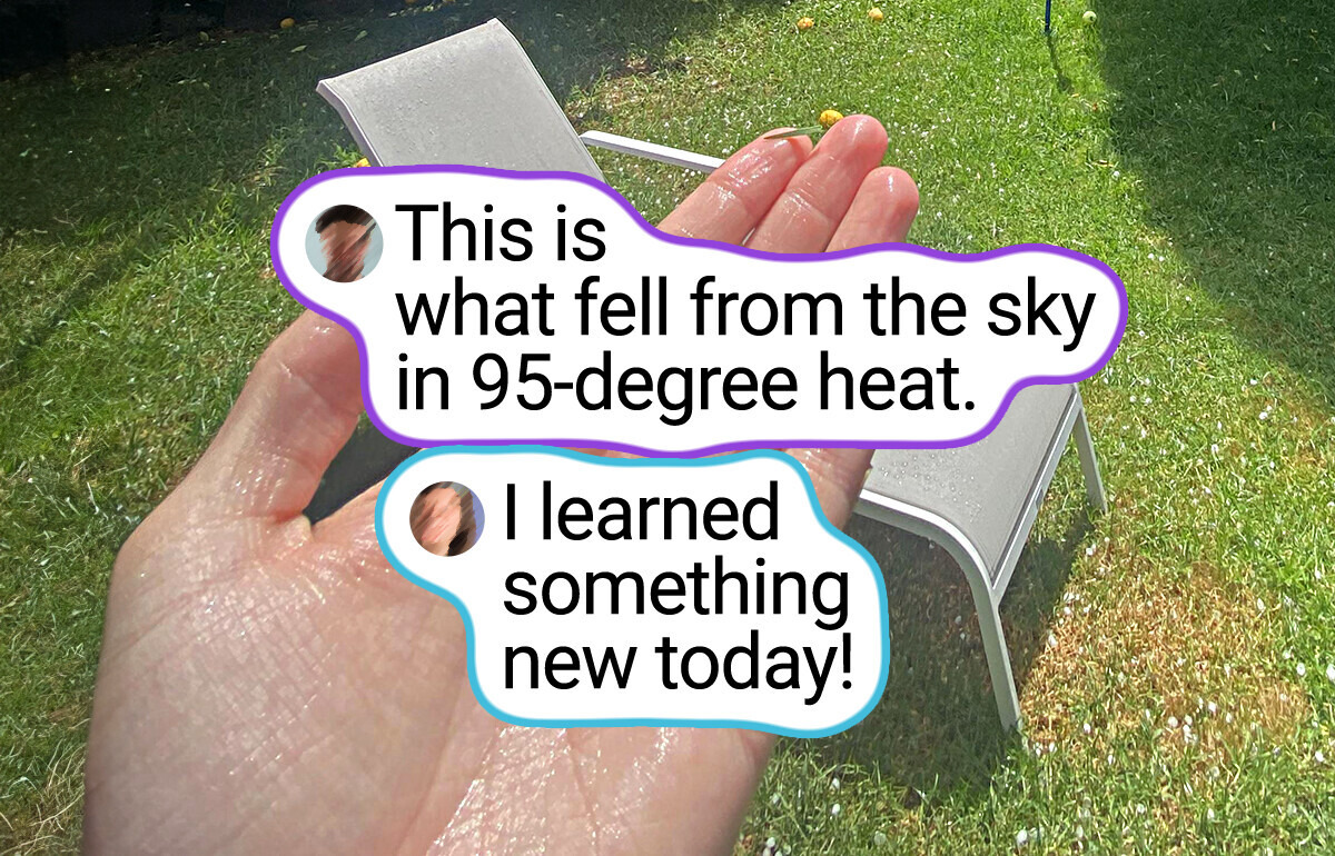 19 Snapshots That Expose the Other Side of Summer