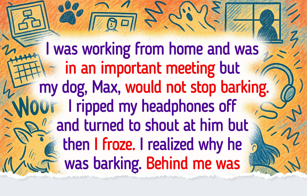 12 Animals Who Quietly Became the Heroes of the Day 12 Animals Who Quietly Became the Heroes of the Day