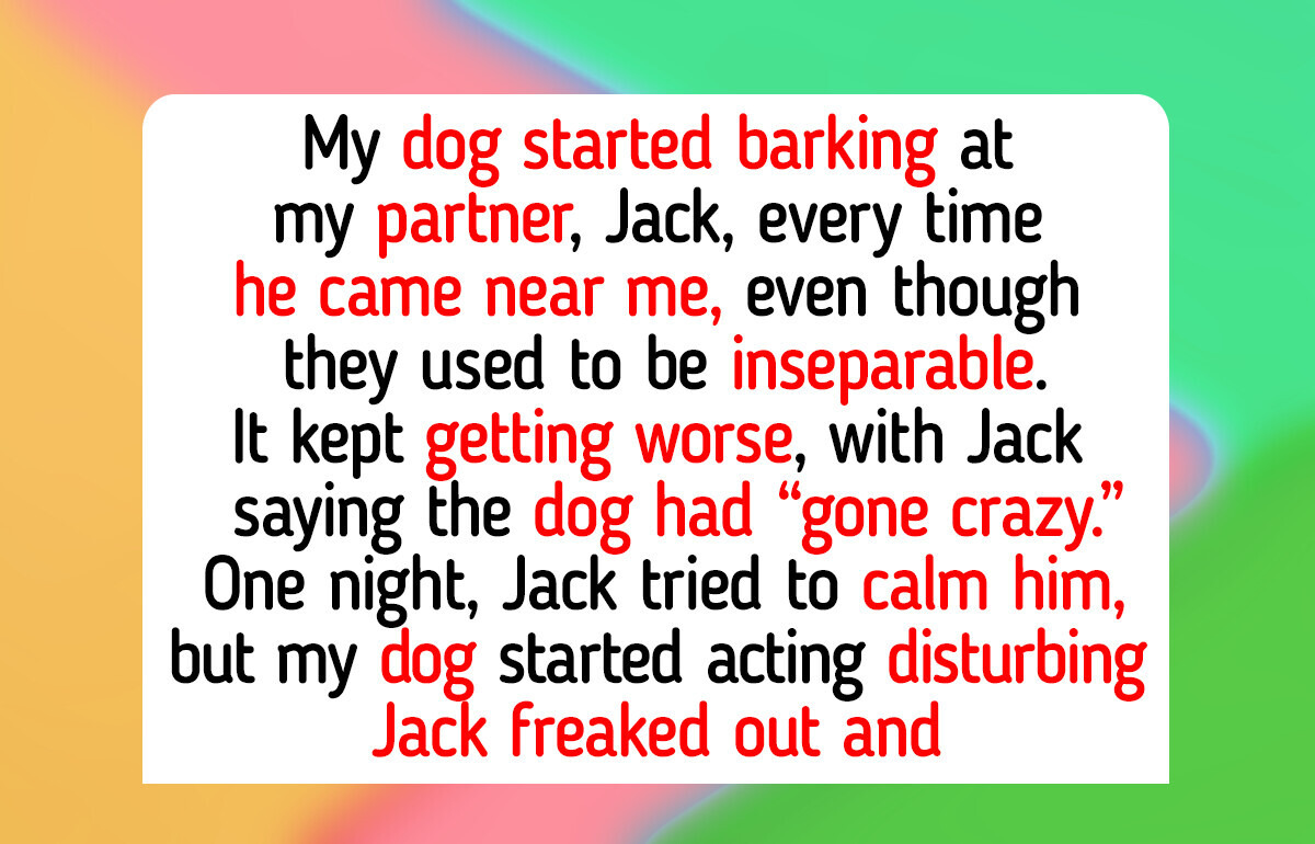 Top 11 Pets Who Proved Kindness Successfully Can Save a Broken Soul