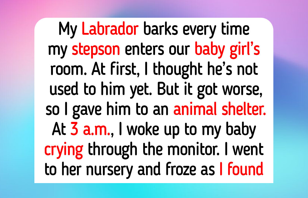 13 Animal Shelter Moments That Prove Real Compassion and Quiet Kindness Have No Pedigree