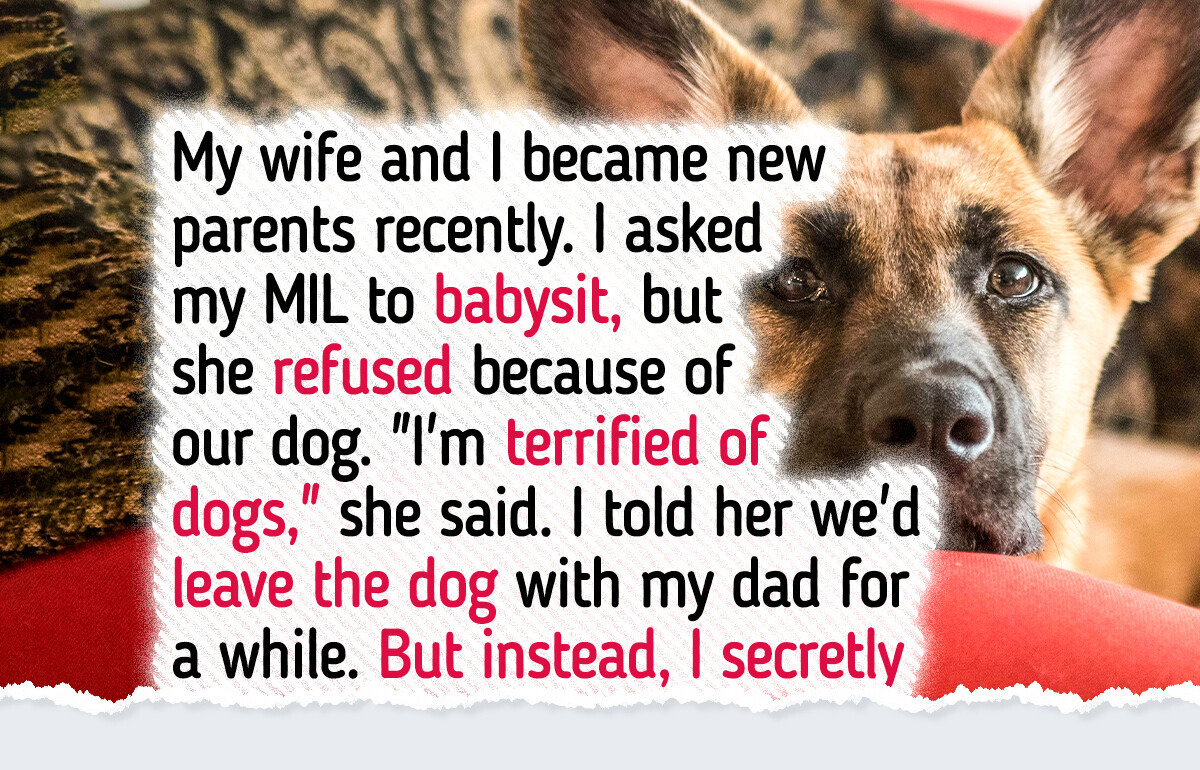 My MIL Refuses to Babysit Because We Have a Dog—It’s Not That Serious My MIL Refuses to Babysit Because We Have a Dog—It’s Not That Serious