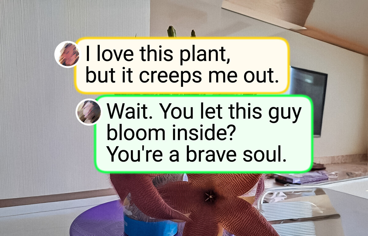 20+ People Who Turned Ordinary Rooms Into a Green Paradise