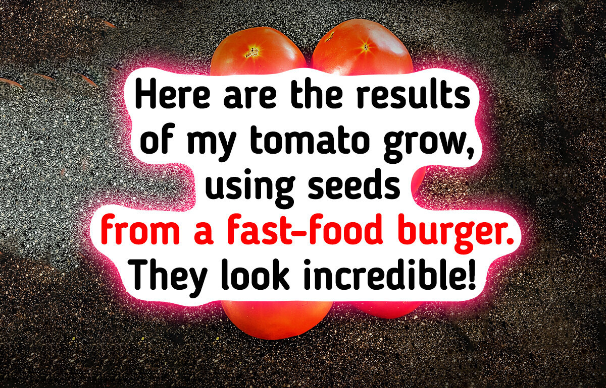 14 People Who Turned Their Garden Into a Wonderland 14 People Who Turned Their Garden Into a Wonderland